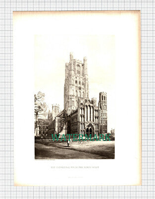 X1040) Ely Cathedral England - c.1895 Print