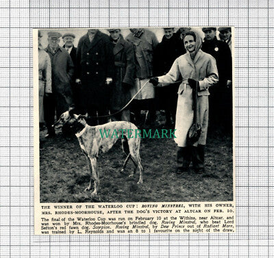 C5029) ROVING MINSTREL Mrs Rhodes Moorhouse Dog Show Altcar Waterloo -1950 Clip