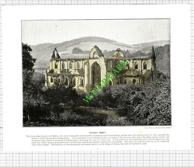 Tintern Abbey - c.1900 Book Print