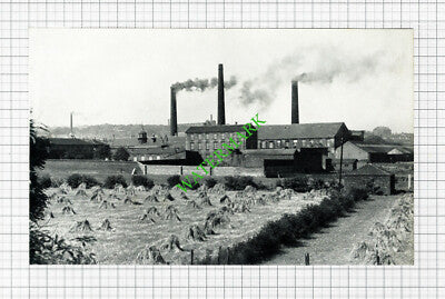 Cleckheaton Factories Yorkshire - c.1950 Print / Cutting