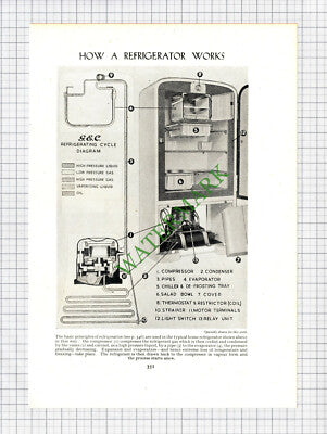 9472) How A Refrigerator Works - c.1950s Cutting / Print