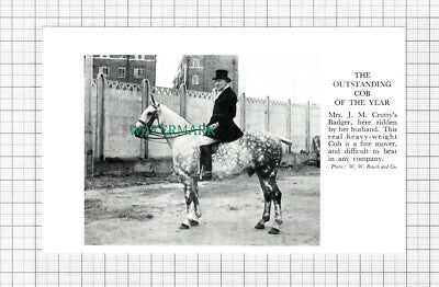 C5480) Mrs J M Crotty Horse Badger - 1955 Cutting