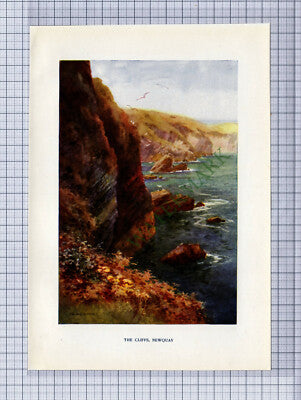 C975) Newquay Cliffs Cornwall Ernest Haslehust - c.1911 Small Print