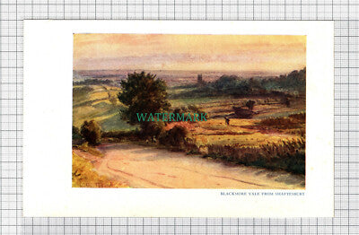 C5086) Blackmore Vale From Shaftesbury Dorset - SMALL Print c.1948