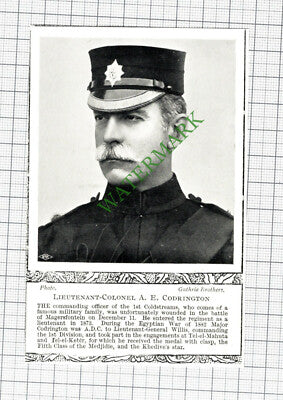 Lt Col A E Codrington 1st Coldstreams - c.1900 Cutting
