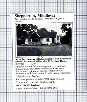 C7843) Shepperton Middlesex - 1981 Cutting