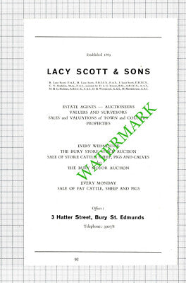 Lawson's Bury St Edmunds / Lacy Scott & Sons Estate Agents Advert - 1964 Cutting