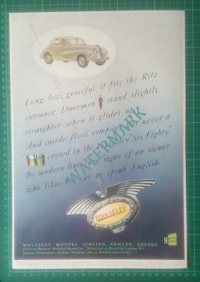 X653) Wolseley Six Eighty Car Colour Advert - 1951 PAPER CUTTING