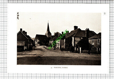 East Meon Hampshire / Harting Sussex. - 1932 Cutting/ Print