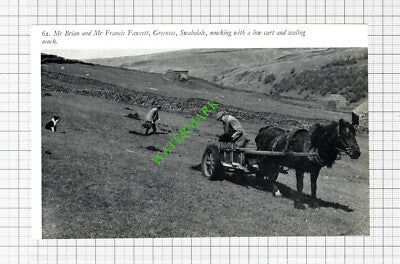 Francis Fawcett Greenses Swaledale - c.1970's Cutting