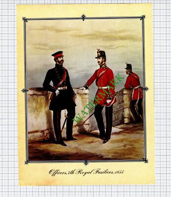 Officers 7th Royal Fusliers 1855 - 1970s Print