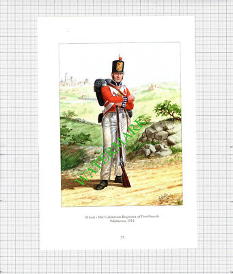 Private The Coldstream Regiment Of Foot Guards Salamanca - c.1990's Print