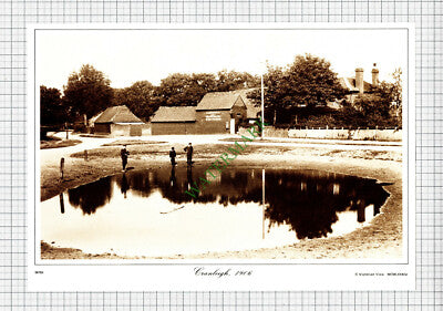 Cranleigh Surrey E Brown Meat Ice Stores - c.1990s Print