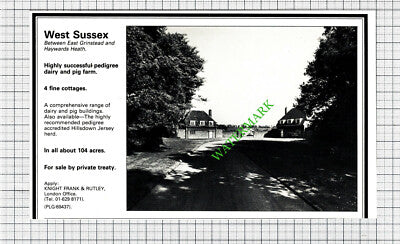 East Grinstead Haywards Heath Sussex Pig Farm Sale Advert - 1980 Cutting