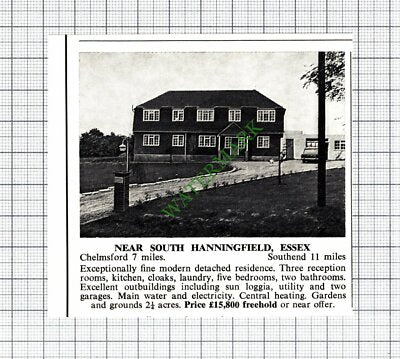 C7975) South Hanningfield Essex - 1967 Cutting