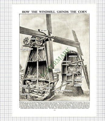 9115) How A Windmill Grinds Corn - c.1930s Cutting / Print
