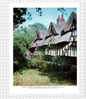 Cottages At Shalford Wethersfield Essex - 1964 Cutting / Print