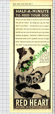 Red Heart Dog Food Advert - 1937 Cutting
