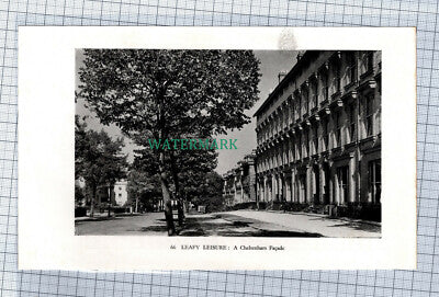 C4500) Cheltenham Houses c.1939 Clip