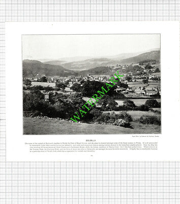 Dolgelly Wales - c.1900 Book Print