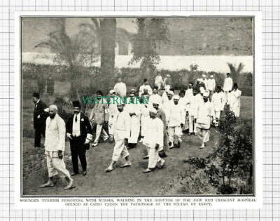 C5517) Red Crescent Hospital Cairo Turkish World War One - c.1918 Cutting