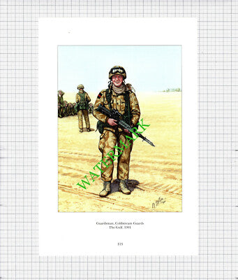 Guardsman Coldstream Guards The Gulf - c.1990's Print