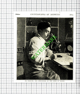 Dr Noguchi Rabies Discoverer - c.1915 Cutting