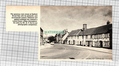 C903) Hatfield Broad Oak Essex -1972 Cutting