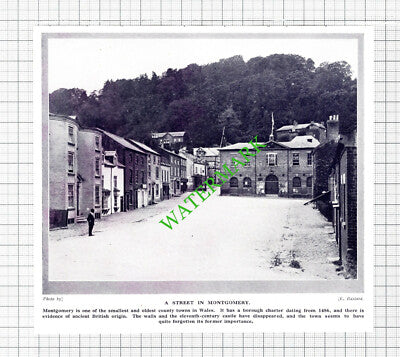 Montgomery Wales - 1920s Cutting