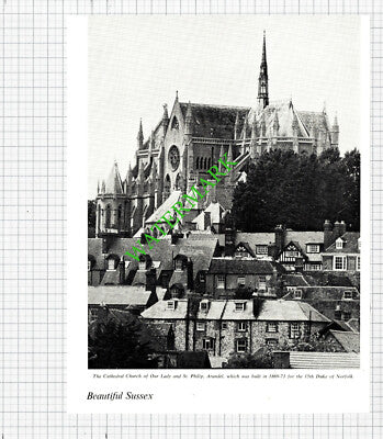 Arundel Sussex Church - 1965 Cutting / Print