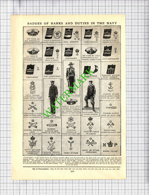 Badges Of The Army Air Force Navy - c.1940s Cutting / Print
