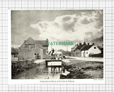 C5639) Thornton-le-Dale Pickering - 1940s Cutting