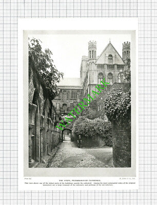 Peterborough Cathedral - 1920s Cutting / Print