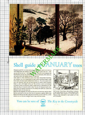 January Trees Shell Small Advert - 1957 2-Part Cutting