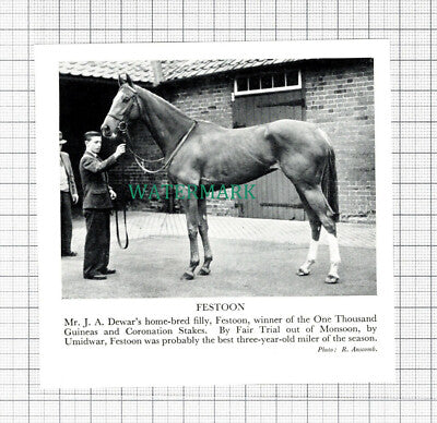 C5478) Mr J A Dewar Horse Festoon - 1955 Cutting