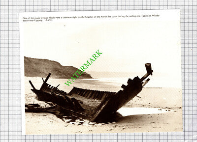 Whitby Wreck Shipwreck - Cutting