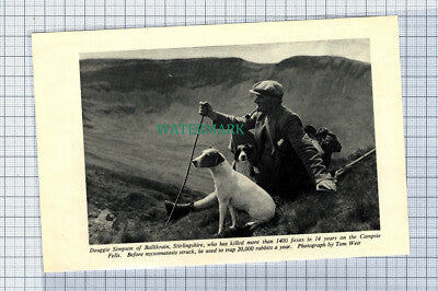 C4666) Douggie Simpson Ballikrain Stirlingshire Campsie Fells - 1950s Clip