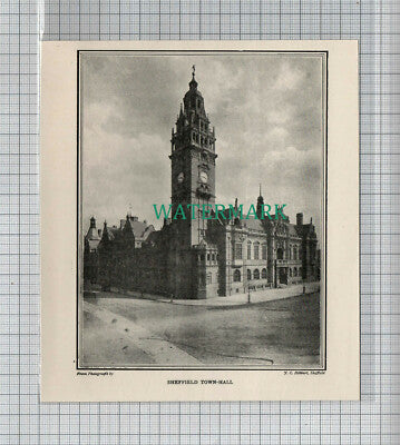 C4450) Sheffield Town Hall Yorkshire ~ Antique Book Cutting c.1900