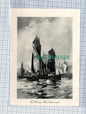 C4572) The Herring Fleet Scarborough - c.1902 Print