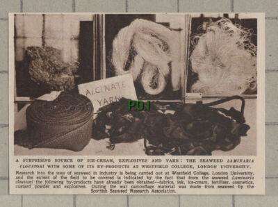 C1398) Westfield College London University Seaweed Research - 1948 Clip