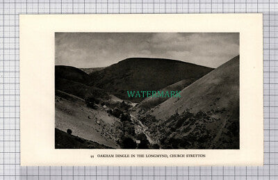 C5386) Oakham Dingle Longmynd Church Stretton - 1938 Cutting