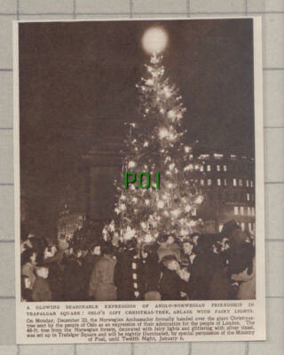 C961) Trafalgar Square Christmas Tree From Oslo Norway - 1948 Cutting