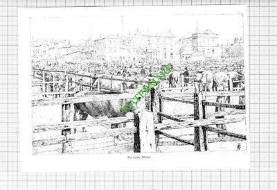 Wakefield Yorkshire Cattle Market - 1980s Cutting / Print