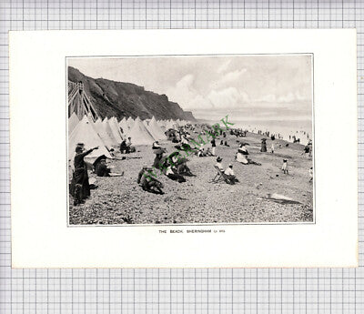8910) SHERINGHAM BEACH - c.1900 Print / Cutting