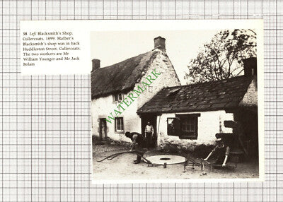 C7992) Cullercoats Mather's Blacksmith William Younger Jack Bolam - Cutting