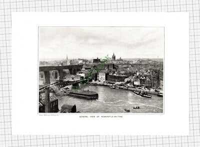 9994) Newcastle Upon Tyne - c.1910 Cutting / Print