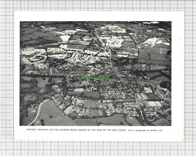 8806) Crawley Sussex - 1952 Cutting