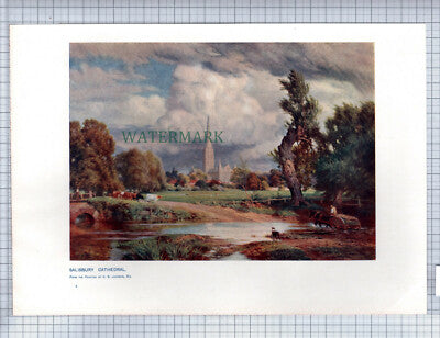 (5842) Salisbury Cathedral C E Johnson - c.1900 Print