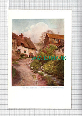 C5098) Sutton Poyntz Weymouth Cottages Dorset - SMALL Print c.1948