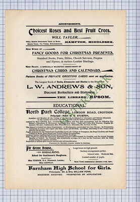 C4800) North Park College Croydon Miss H C Sturton Advert - c.1900 Cutting